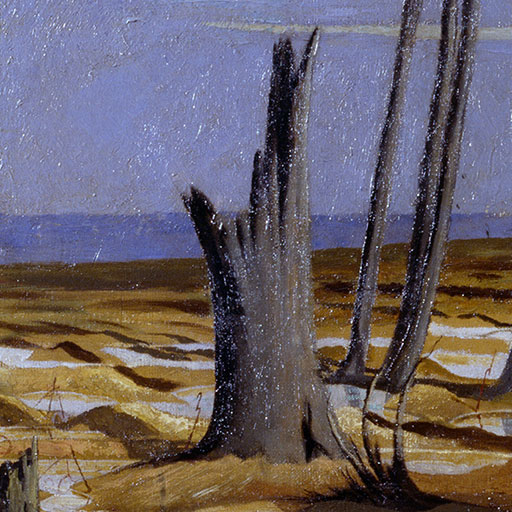 War Damaged Landscape